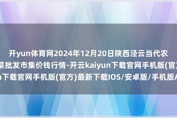 开yun体育网2024年12月20日陕西泾云当代农业股份有限