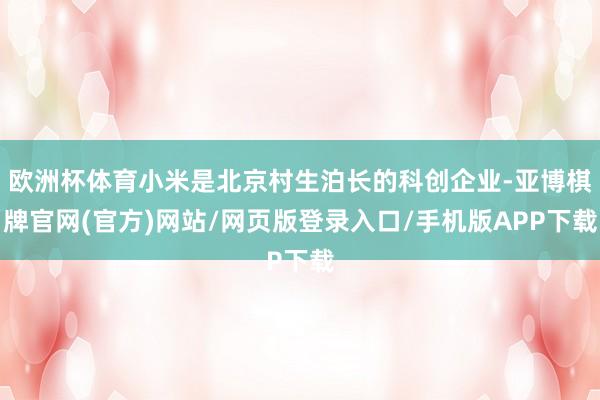 欧洲杯体育小米是北京村生泊长的科创企业-亚博棋牌官网(官方)网站/网页版登录入口/手机版APP下载