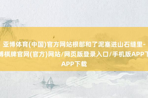 亚博体育(中国)官方网站根部和了泥塞进山石缝里-亚博棋牌官网(官方)网站/网页版登录入口/手机版APP下载